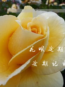 花呗逾期芝麻粒怎么修复(支付宝芝麻粒修复逾期记录还能继续使用花呗吗)