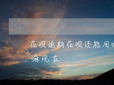 花呗逾期花呗还能用嘛(花呗逾期花呗还能用嘛现在)