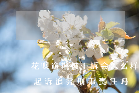 花呗逾期被上诉会怎么样(花呗逾期真的会被起诉追究刑事责任吗)