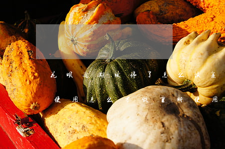 花呗逾期被停了怎么恢复(花呗逾期了被暂停使用怎么才能重新使用)