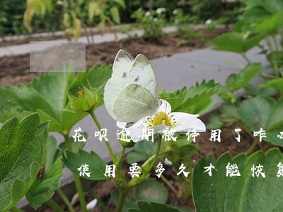 花呗逾期被停用了咋办(花呗逾期花呗被暂停使用要多久才能恢复)