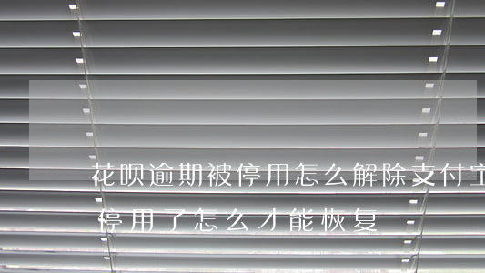 花呗逾期被停用怎么解除(支付宝花呗逾期被停用了怎么才能恢复)