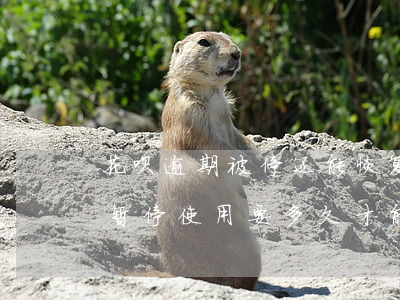 花呗逾期被停还能恢复吗(花呗逾期两年了被暂停使用要多久才能恢复)