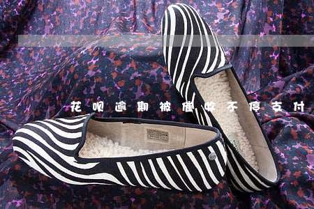 花呗逾期被催收不停(支付宝花呗逾期被催收)