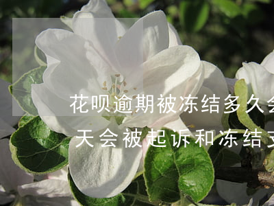 花呗逾期被冻结多久会被起诉(花呗逾期40天会被起诉和冻结支付宝账户吗)