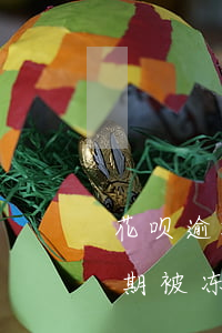 花呗逾期被冻结怎么快速恢复使用-花呗逾期被冻结怎么快速恢复使用额度