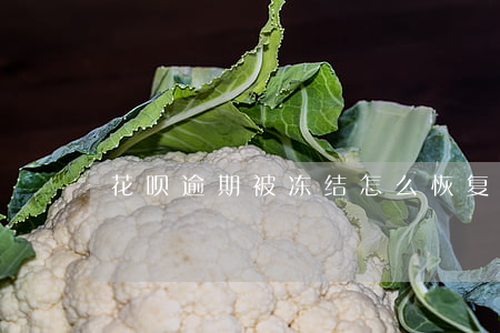 花呗逾期被冻结怎么恢复