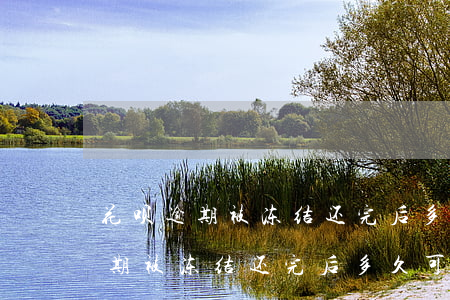 花呗逾期被冻结还完后多久可以解-花呗逾期被冻结还完后多久可以解冻