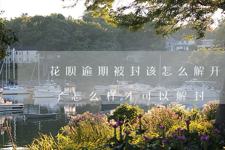 花呗逾期被封该怎么解开-支付宝花呗逾期了,怎么样才可以解封