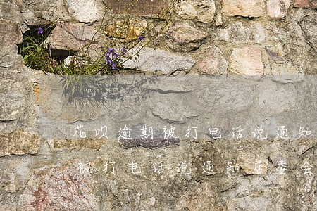 花呗逾期被打电话说通知居委会-花呗逾期被打电话说通知居委会怎么办