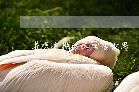 花呗逾期被收回啥意思