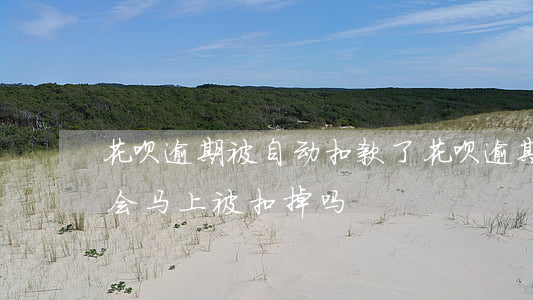 花呗逾期被自动扣款了(花呗逾期支付宝进账会马上被扣掉吗?)