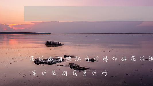 花呗逾期被起诉涉嫌诈骗(花呗被诈骗,已经立案,还款期我要还吗?)