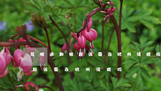 花呗逾期被起诉要去杭州法院吗 花呗逾期被起诉要去杭州法院吗