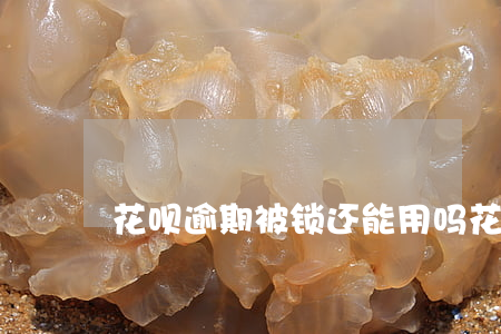 花呗逾期被锁还能用吗(花呗锁了怎么回事)