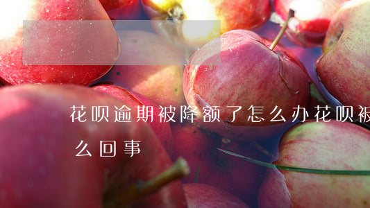 花呗逾期被降额了怎么办(花呗被降额度了怎么回事)