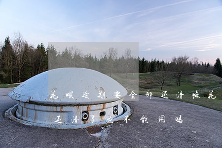 花呗逾期要全部还清嘛(花呗长时间逾期就算还清了也不能用吗)