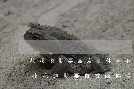 花呗逾期要寄发函件会不会提前短信通知-花呗逾期要寄发函件会不会提前短信通知呢