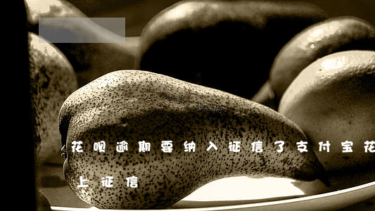 花呗逾期要纳入征信了(支付宝花呗逾期了会上征信?)
