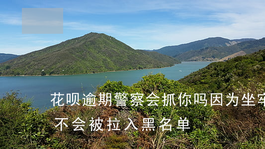 花呗逾期警察会抓你吗(因为坐牢花呗逾期会不会被拉入黑名单)