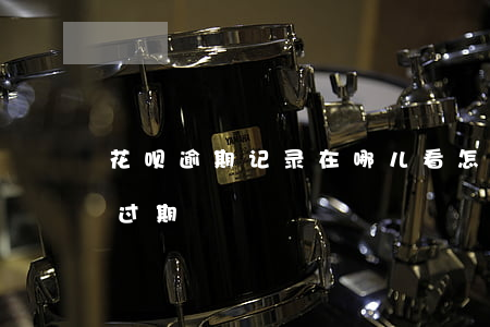 花呗逾期记录在哪儿看(怎么查花呗有没有逾过期)