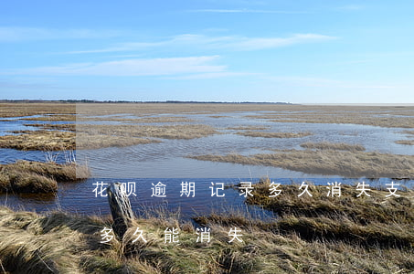 花呗逾期记录多久消失(支付宝花呗逾期记录多久能消失?)