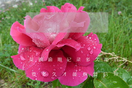 花呗逾期记录多久能消除(花呗逾期记录消除要多久才能恢复信用)