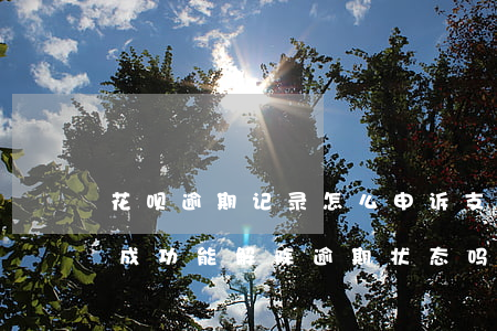 花呗逾期记录怎么申诉(支付宝花呗逾期申诉成功能解除逾期状态吗)