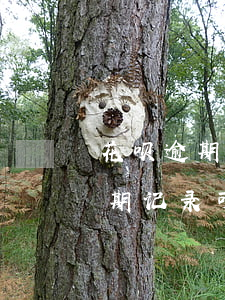 花呗逾期记录消除办法(花呗借呗疫情期间逾期记录可以申请消除吗)
