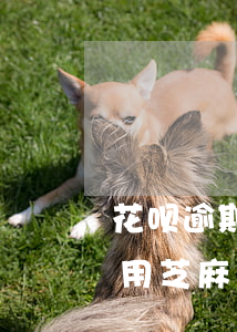 花呗逾期记录消除要多久才能恢复信用-不用芝麻粒怎么修复逾期