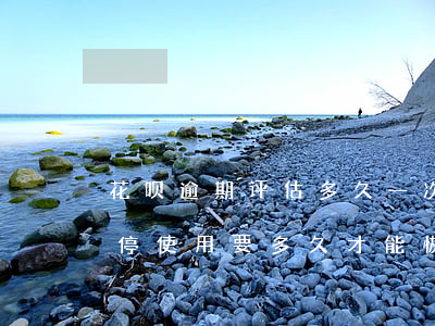 花呗逾期评估多久一次(花呗没逾期评估被暂停使用要多久才能恢复)