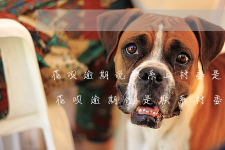 花呗逾期说联系上村委是不是真的-支付宝花呗逾期说是联系村委