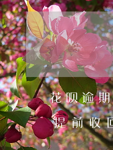 花呗逾期说要提前收回(花呗逾期剩余款项被提前收回是什么意思)