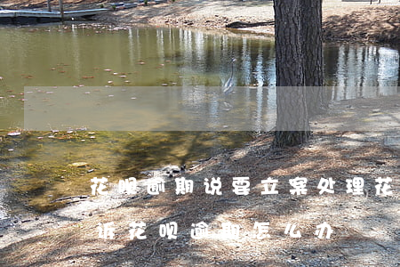 花呗逾期说要立案处理(花呗逾期多久会被起诉?花呗逾期怎么办)