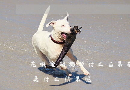花呗逾期起诉什么后果(花呗逾期法院起诉会是什么结果呢?)