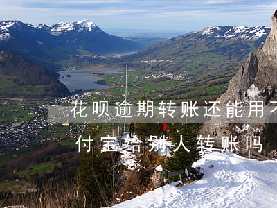 花呗逾期转账还能用不(花呗逾期还可以用支付宝给别人转账吗)