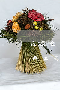 花呗逾期过两次怎么办(支付宝花呗可以逾期两三天吗)