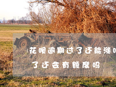 花呗逾期过了还能涨吗(花呗逾期好久了,还完了还会有额度吗)