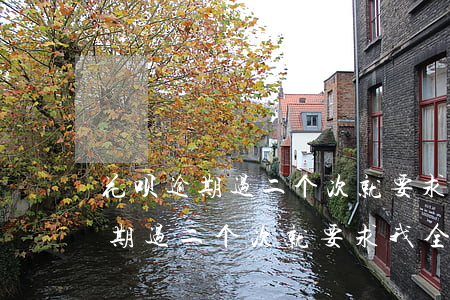 花呗逾期过二个次就要求我全款还-花呗逾期过二个次就要求我全款还款