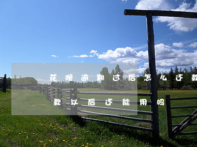 花呗逾期过后怎么还款(花呗逾期严重的还完款以后还能用吗)