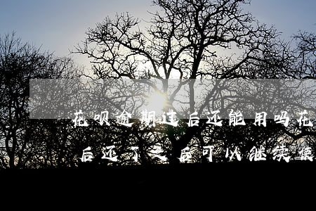 花呗逾期过后还能用吗(花呗逾期几天还了之后还了之后可以继续使用吗)