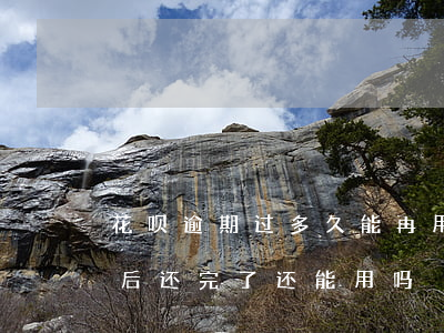 花呗逾期过多久能再用(花呗逾期了几个月然后还完了还能用吗)