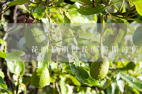 花呗逾期过，花呗逾期过后已经还款了怎样恢复正常