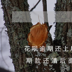 花呗逾期还上后还要求一次性还吗-花呗逾期款还清,后面的可以慢慢还吗