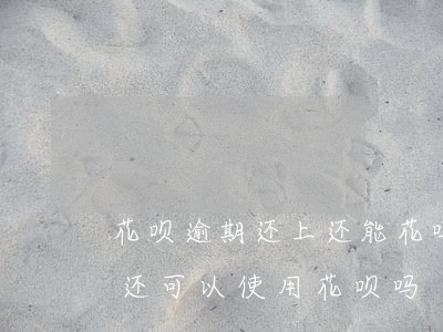花呗逾期还上还能花吗(花呗还款后不算逾期还可以使用花呗吗)