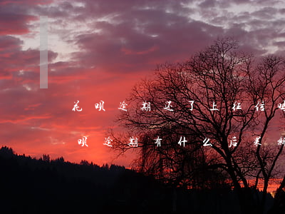 花呗逾期还了上征信吗(花呗逾期上征信吗?花呗逾期有什么后果 新闻)