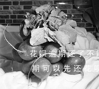 花呗逾期还了不能借了(借呗逾期了花呗没逾期可以先还花呗吗)