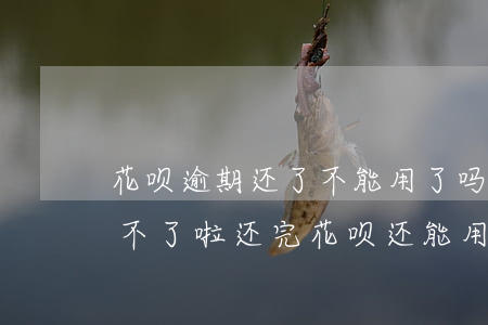花呗逾期还了不能用了吗(花呗逾期了借呗用不了啦,还完花呗还能用吗)