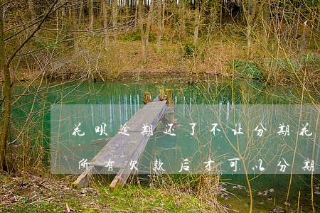 花呗逾期还了不让分期(花呗逾期必须要还清所有欠款后才可以分期吗)