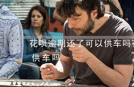 花呗逾期还了可以供车吗(花呗逾期还了可以供车吗)